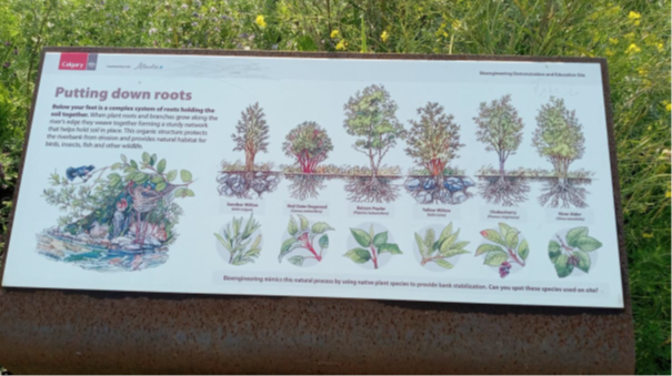 A sign alongside a path showing detailed information about the surrounding foliage